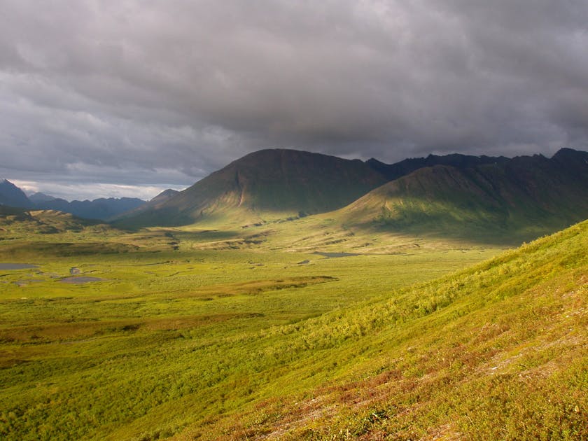 Ahklun and Kilbuck Upland Tundra | One Earth